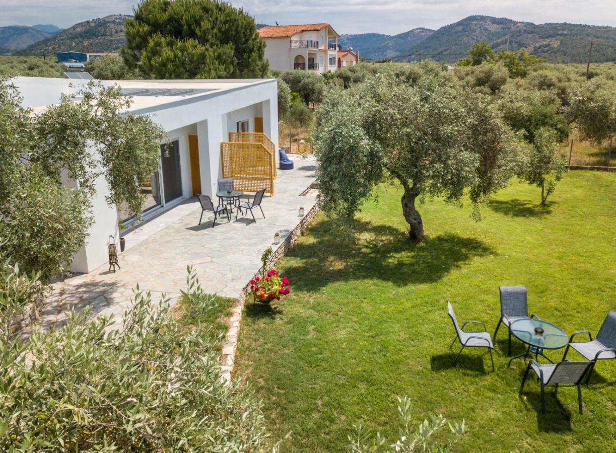 Avgoustidis Apartments Limenaria  Exteriér fotografie