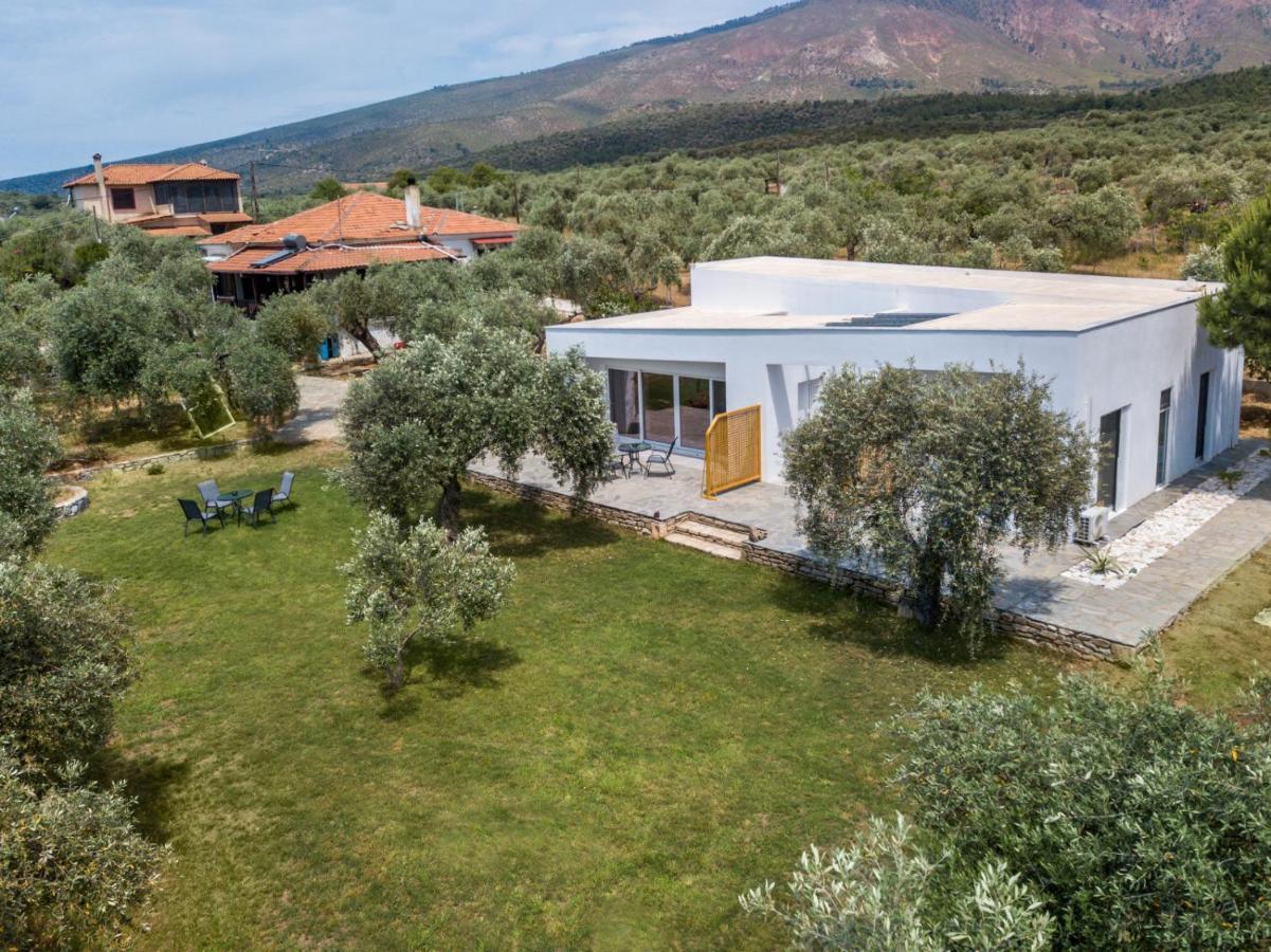 Avgoustidis Apartments Limenaria  Exteriér fotografie